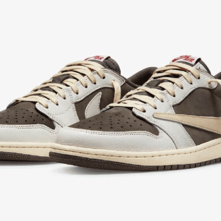 aj travis scott cactus